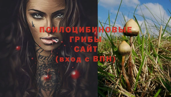 дурь Армянск